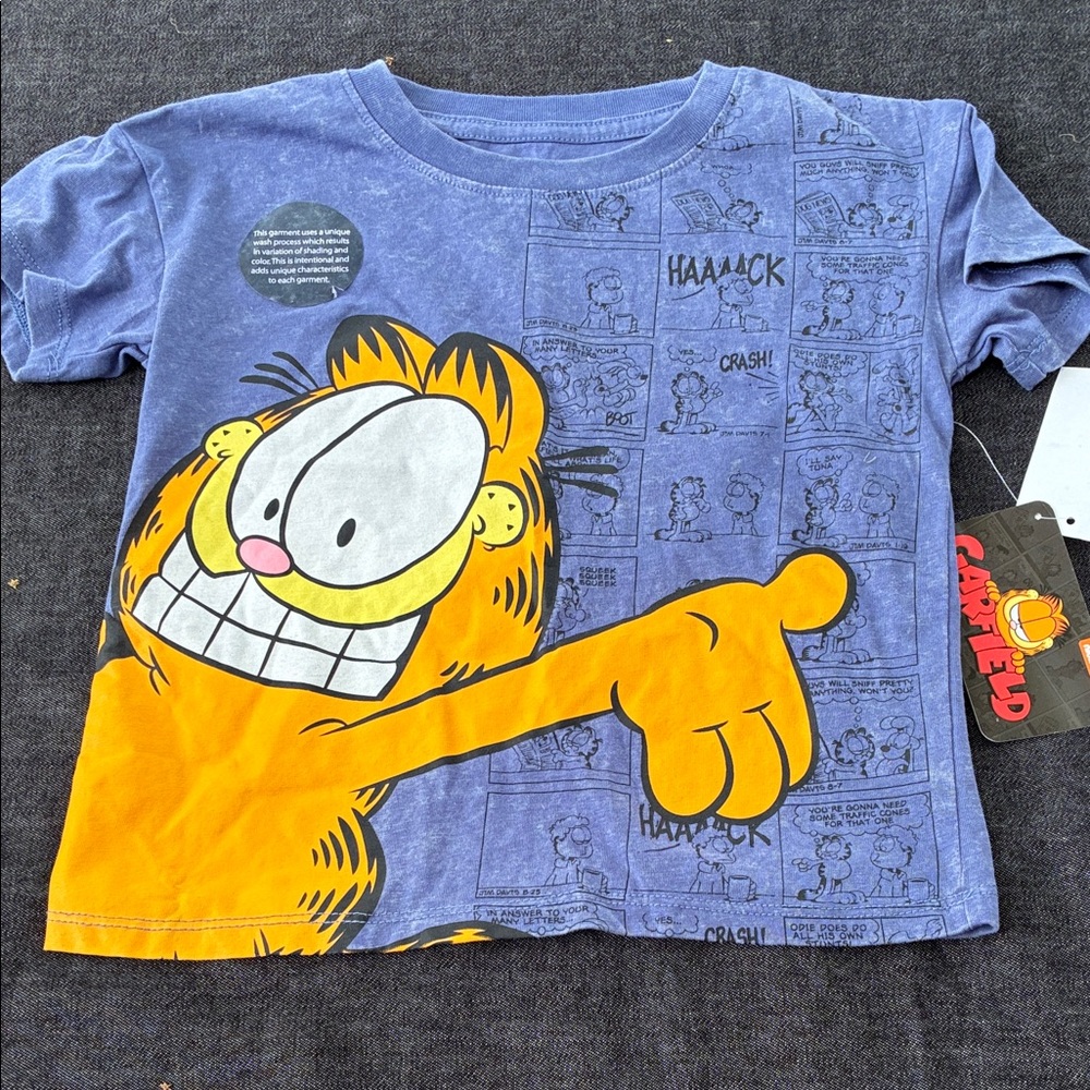Nickelodeon Garfield Short Sleeve Tee - Blue & Orange